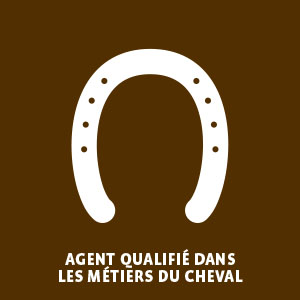 4ème 3ème métiers du cheval alternance