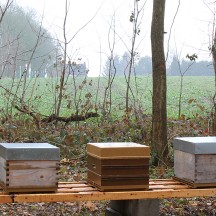 Cinq ruches didactiques ont été installées au Château de Jehay.