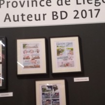 Concours Photo 2017