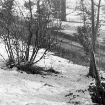 Surveillance des GI's de la route menant à Bastogne