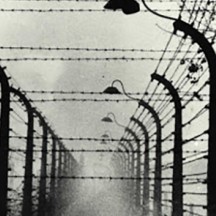  Das Konzentrationslageruniversum