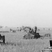  21. Juni 1943: Konzentration von Panzer IV vor Kursk