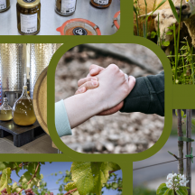 Coopératives dédiées à la vente de produits locaux