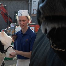 Foire agricole Battice 2024 - concours bières Province de Liège