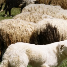 Bannière de la conférence