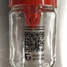 piège copyright provliège