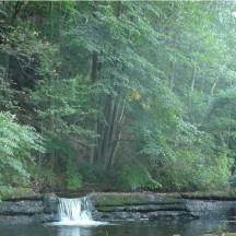 Ruisseau de Winamplanche – Passe à poissons avant travaux