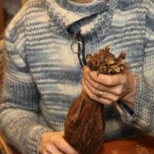  Culture du tabac-Vallée de la Semois (Bohan)-2012/2013