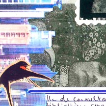 Mail art à la bibliothèque Chiroux