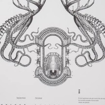 Nouvelle Poupée d'Encre - Calendrier 2015