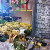 Le Grand Bazar - Exposition à la Bibliothèque Chiroux