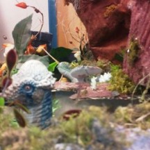 Le Grand Bazar - Exposition à la Bibliothèque Chiroux