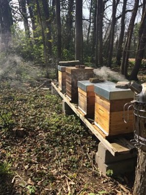 Nos ruches sur le site du Château de Jehay