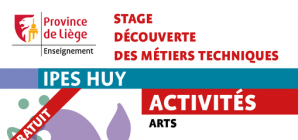 Stage d'été à l'IPES de Huy du 26 au 30 août !