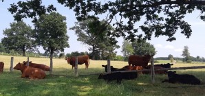 Mise en place d'un hébergement touristique ou d'une ferme pédagogique