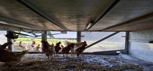 Diversification d'une activité agricole vers l'aviculture