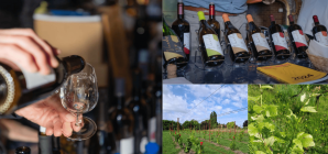 Saveurs en réseaux : Rencontre champêtre des vins de la Province de Liège