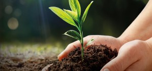 Conférence : les sols vivants au secours de la rentabilité des fermes