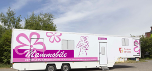 Octobre Rose 2026 : la Province de Liège se mobilise pour le dépistage du cancer du sein