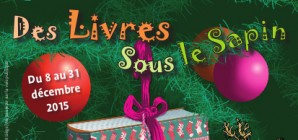 Des livres-surprises sous le sapin de la bibliothèque ! 