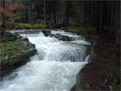 Cours d'eau