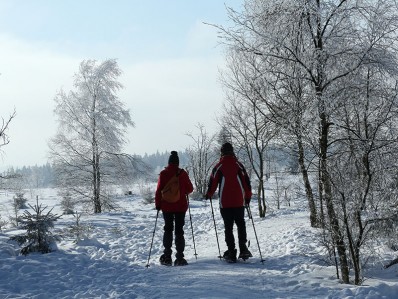 Piste de ski de la Baraque Michel - © FTPL-Patrice Fagnoul