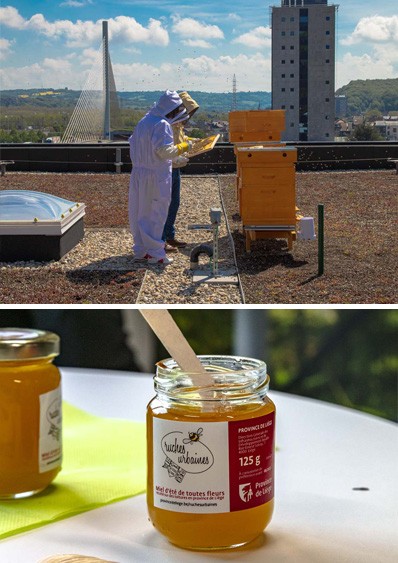 Excellents résultats pour les miels des ruchers urbains de la Province de Liège !