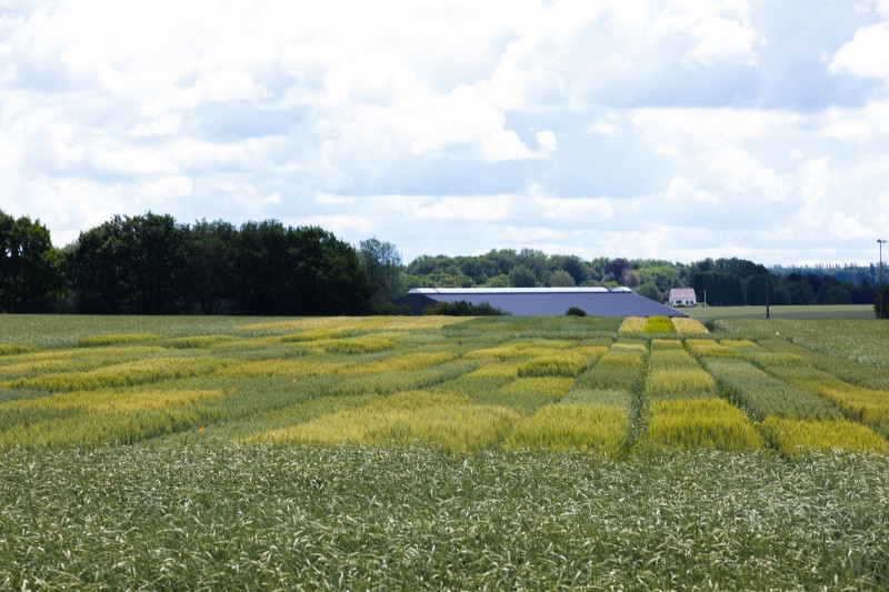 Expérimentations en micro-parcelles