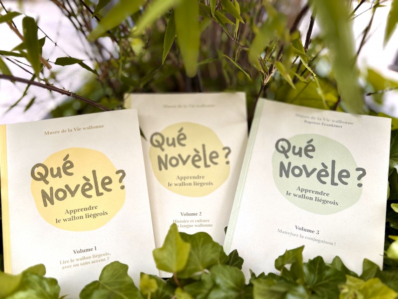 Qué novèle – volume 3 : Un nouveau pas vers la maîtrise du wallon
