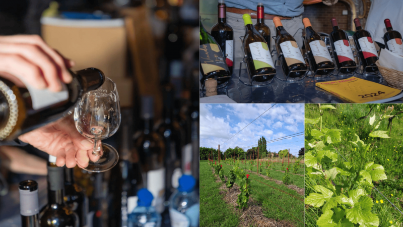 Rencontre champêtre des vignerons