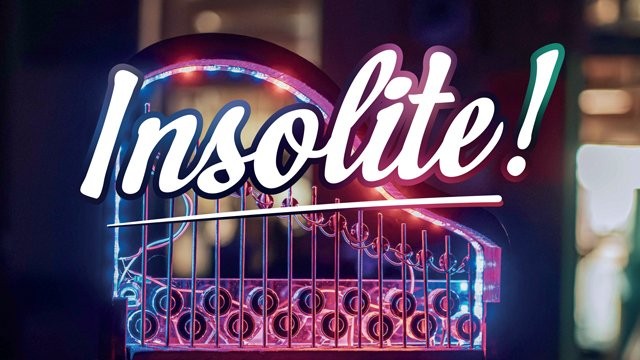 Insolite ! : Sept artisans liégeois aux métiers rares et fascinants réunis dans un nouvel ouvrage