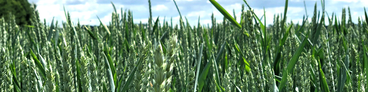 Gemeinsam für das Klima handeln