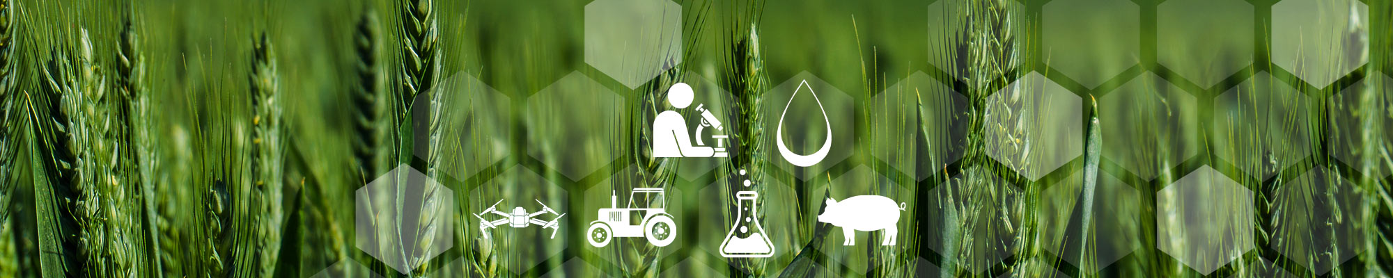 Agriculture, Ruralité et Laboratoire