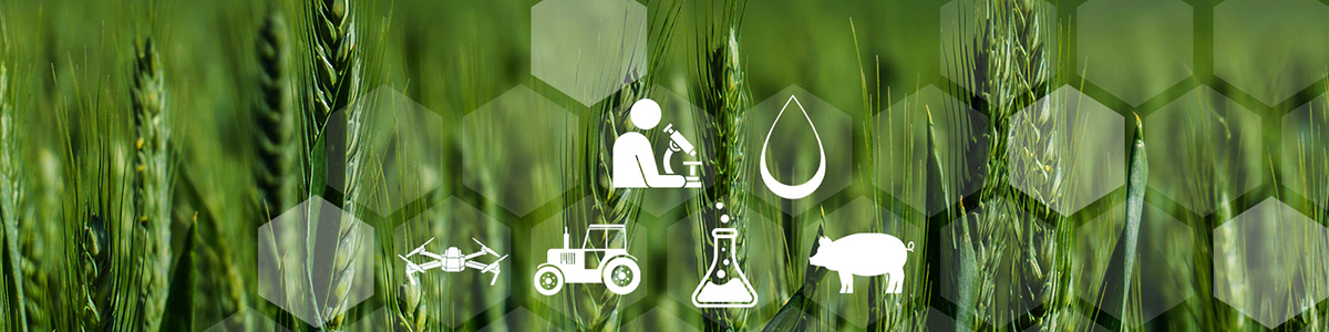 Landwirtschaft, ländlicher Raum und Labor