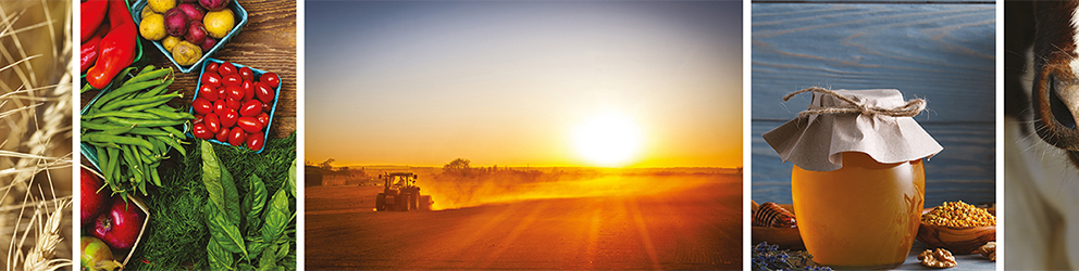 Centre de Formation en Agriculture et Ruralité